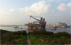 HERMOD / Crane Vessel / Calandkanal / Rotterdam