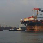 HERMOD / Crane Vessel / Rotterdam