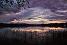 Hermosa Amistad: Atardecer en el Lago de Banyoles by Ana Vera 