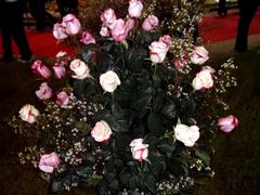 hermoso ramo de rosas!!!!!!!!