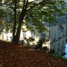 Herne Schloss Strünkede im Herbst