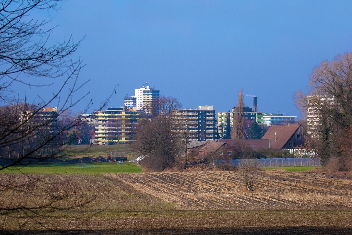 Herner Skyline