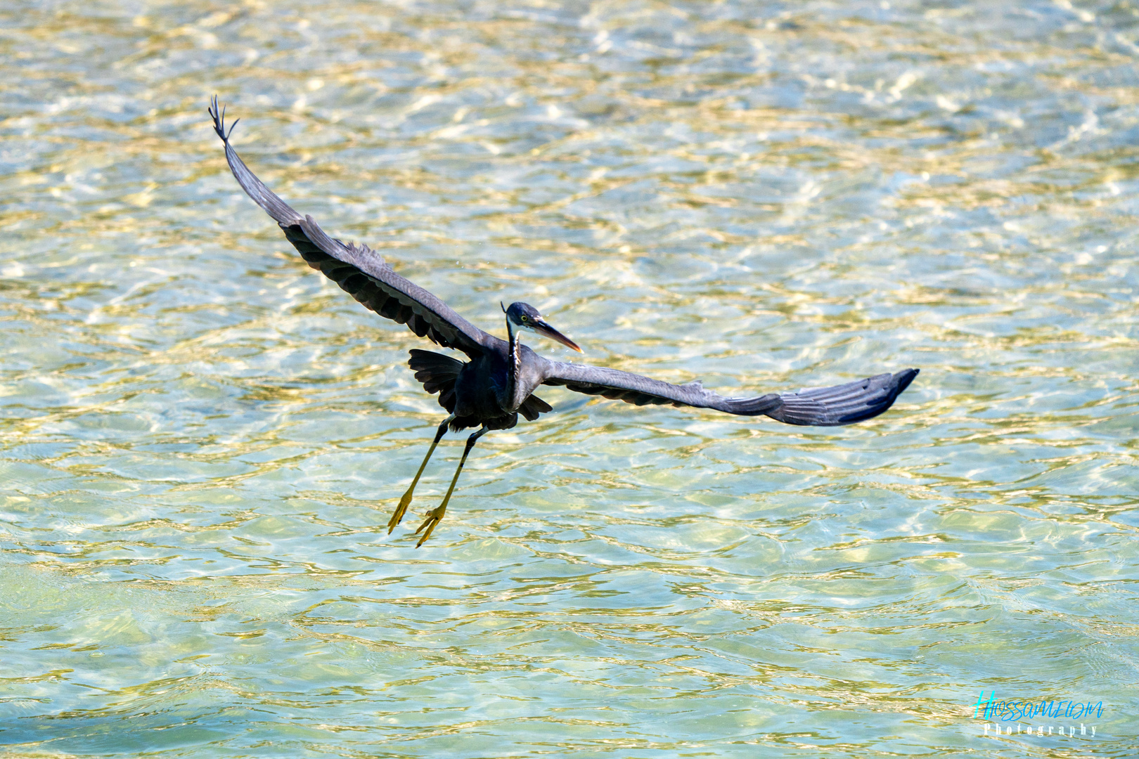 Heron in Action