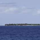 heron island