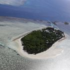 heron island 2