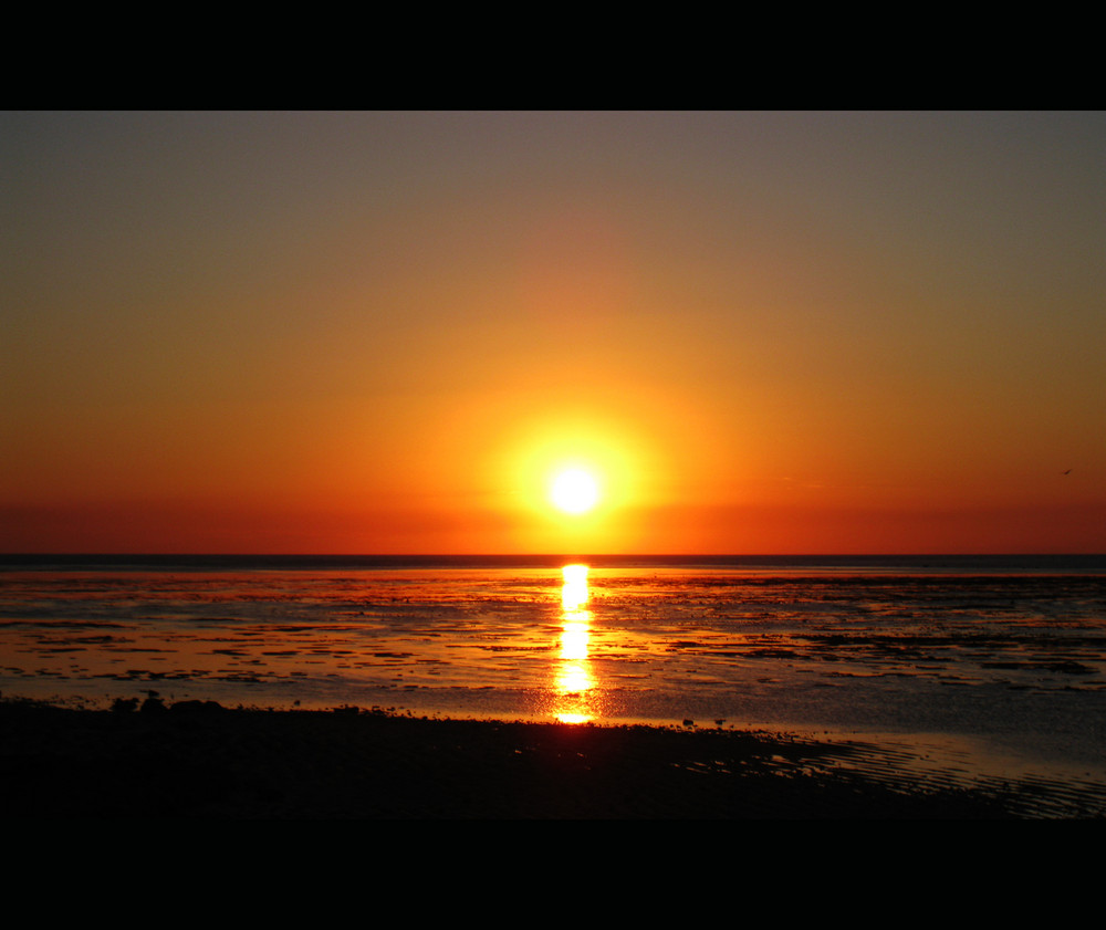 Heron Island