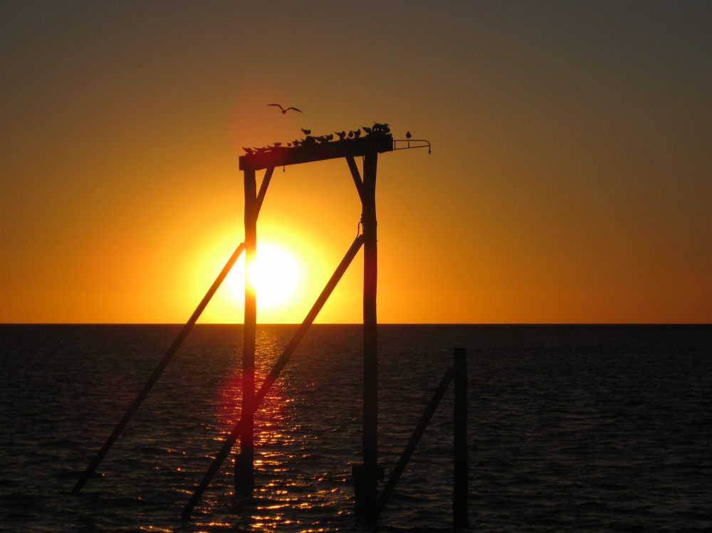 Heron Island