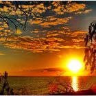 Heron Island Sunrise