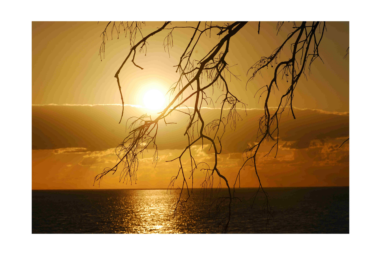 Heron Island " Sunrise"