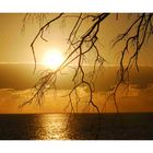 Heron Island " Sunrise"