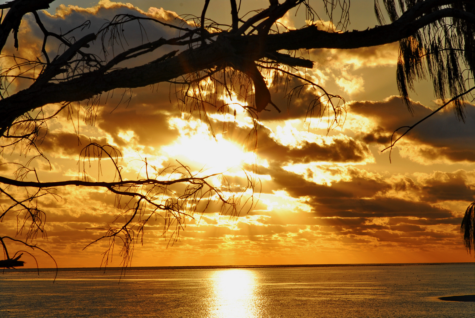 Heron Island sunset