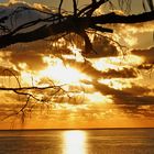 Heron Island sunset