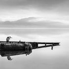 Heron on a Boat