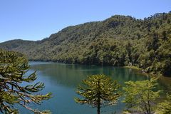 Herquehue Nationalpark