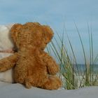 Herr Bär und seine Liebe - Teddyliebe am Ostseestrand