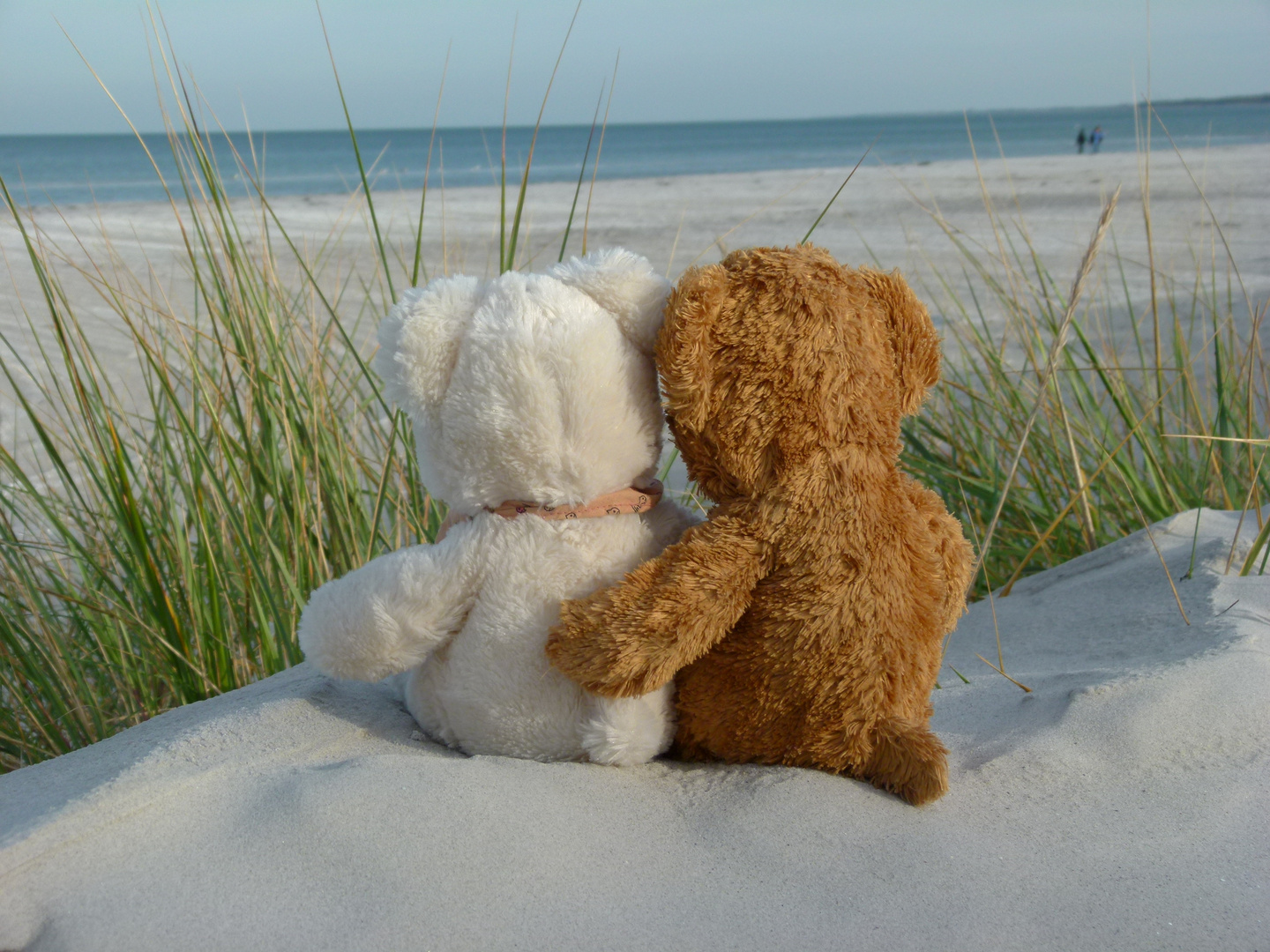 Herr Bär und seine Liebe - Teddyliebe am Strand