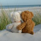 Herr Bär und seine Liebe - Teddyliebe am Strand