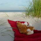 Herr Bär und seine Liebe - Teddyliebe am Strand