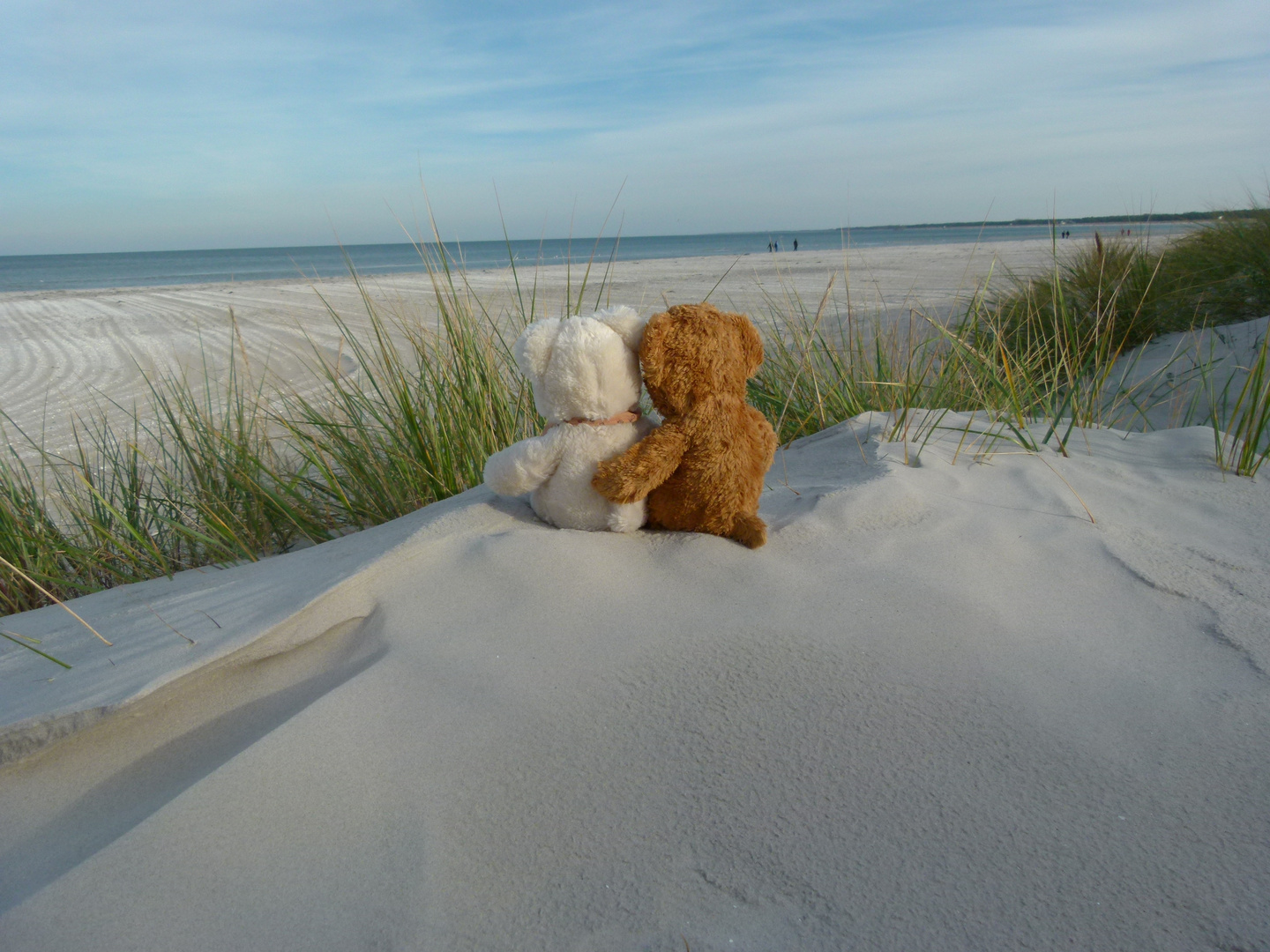 Herr Bär und seine Liebe - Teddyliebe am Strand