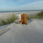 Herr Bär und seine Liebe - Teddyliebe am Strand