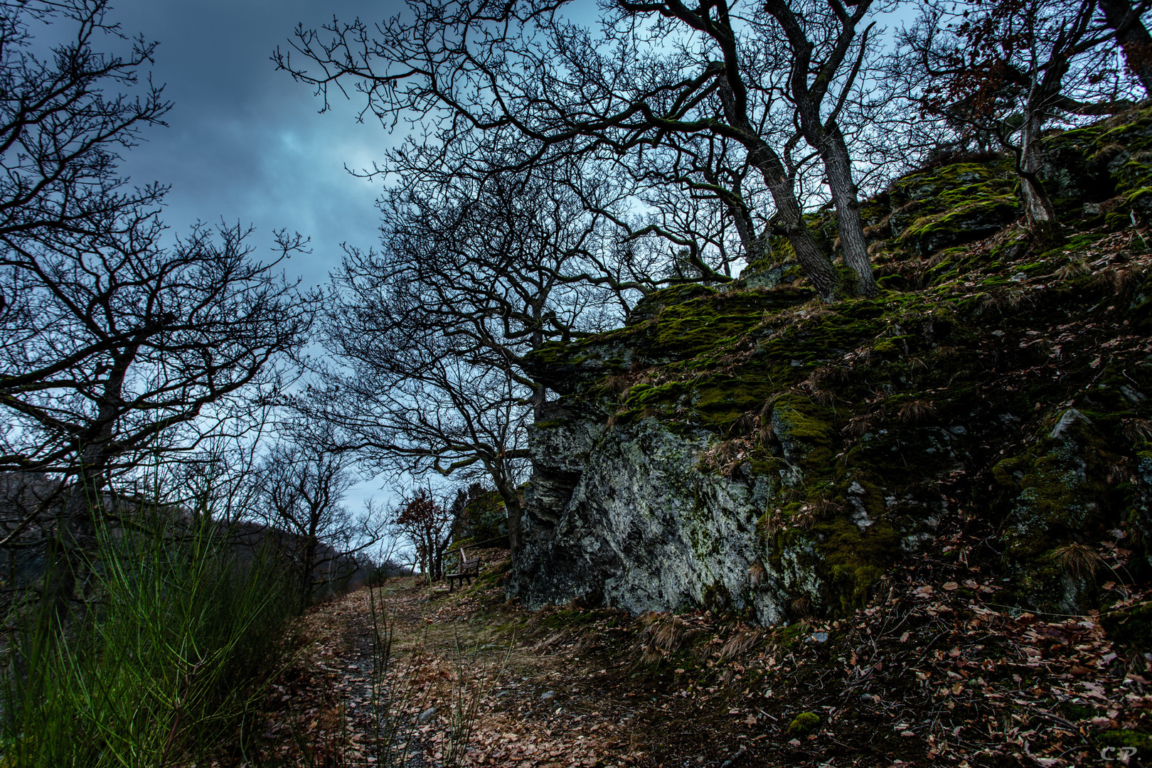 Herr der Ringe im Taunus