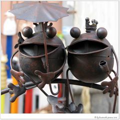 Herr & Frau Frosch