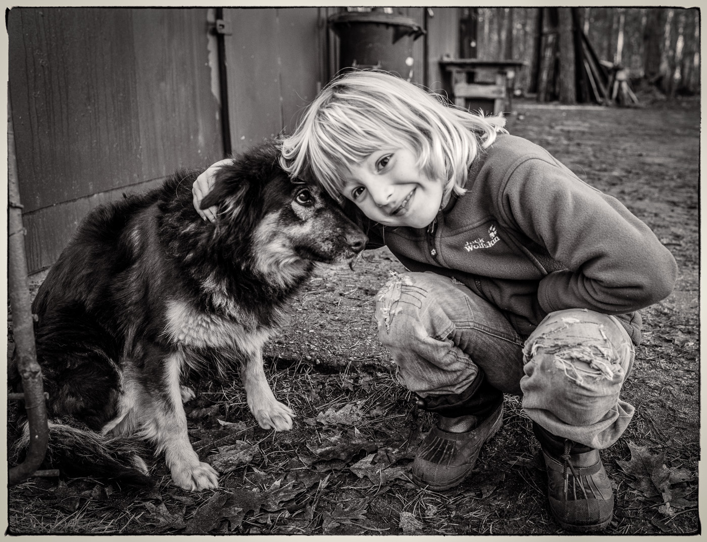 Download Book: "herr Und Hund"