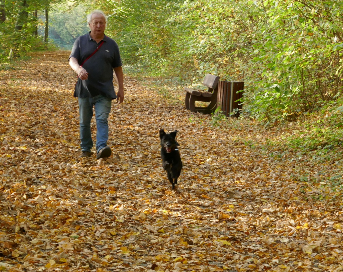 Herr, mit Hund