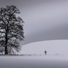 Herr Smillas Gespür für Schnee