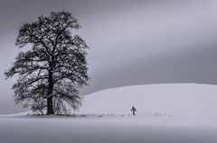 Herr Smillas Gespür für Schnee