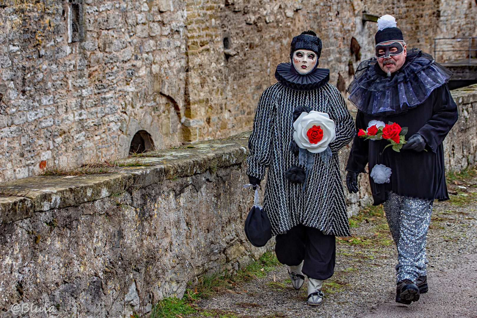 Herr und Frau Harlekin