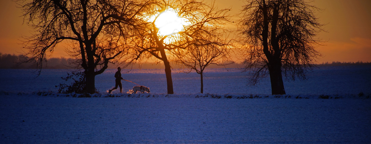 Herr und Hund