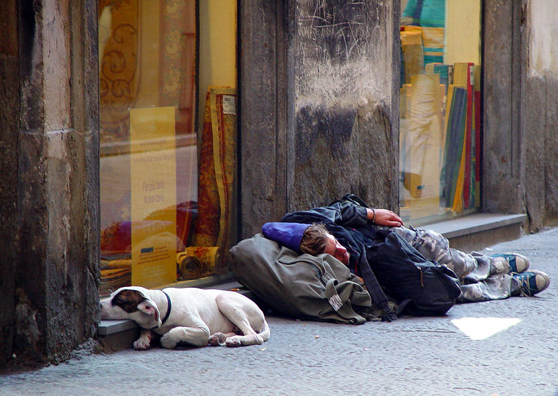 HERR UND HUND