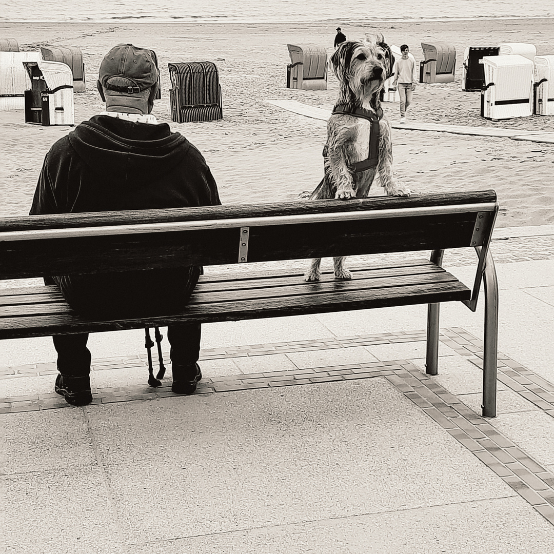 Herr und Hund