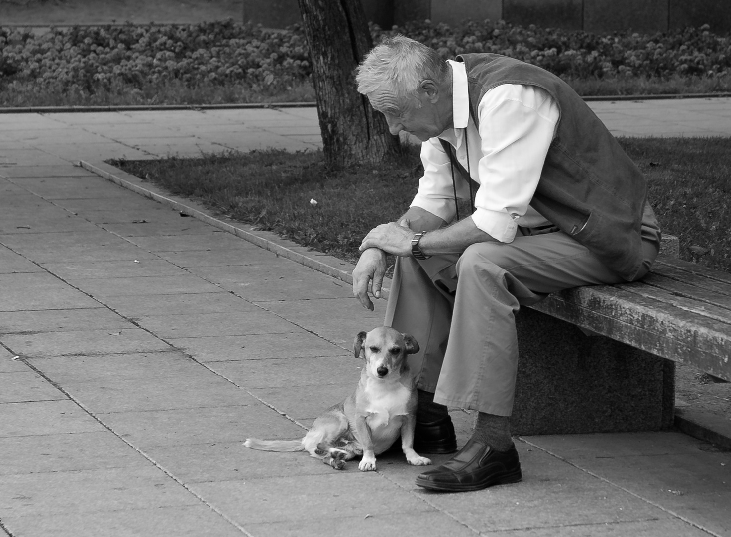 Herr und Hund