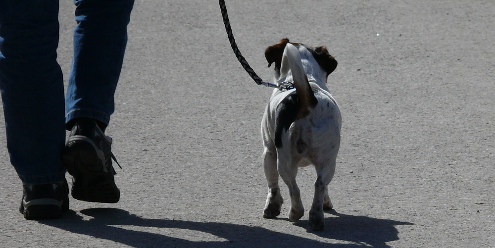 Herr und Hund