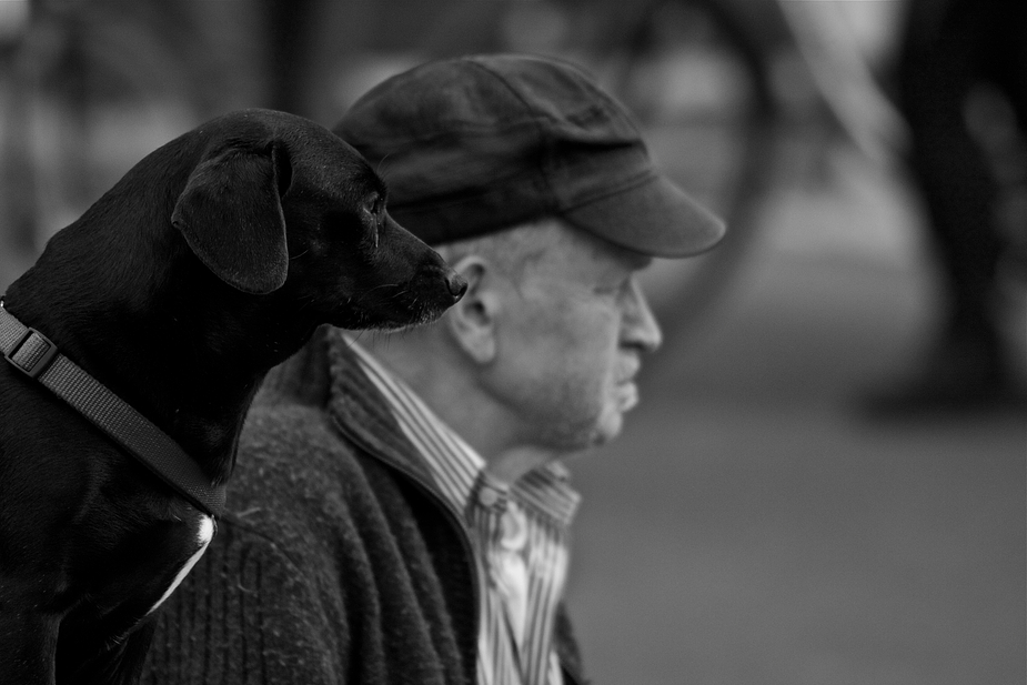 Herr und Hund - Szene einer Beziehung