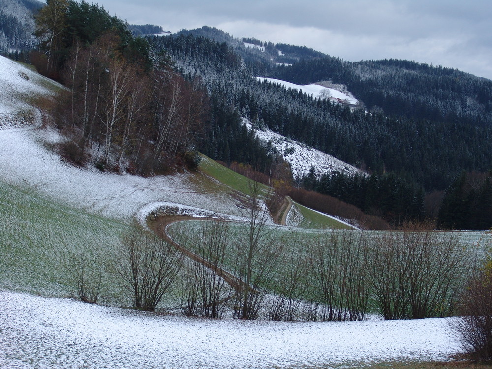 Herr Winter packt seine Zuckerdose aus