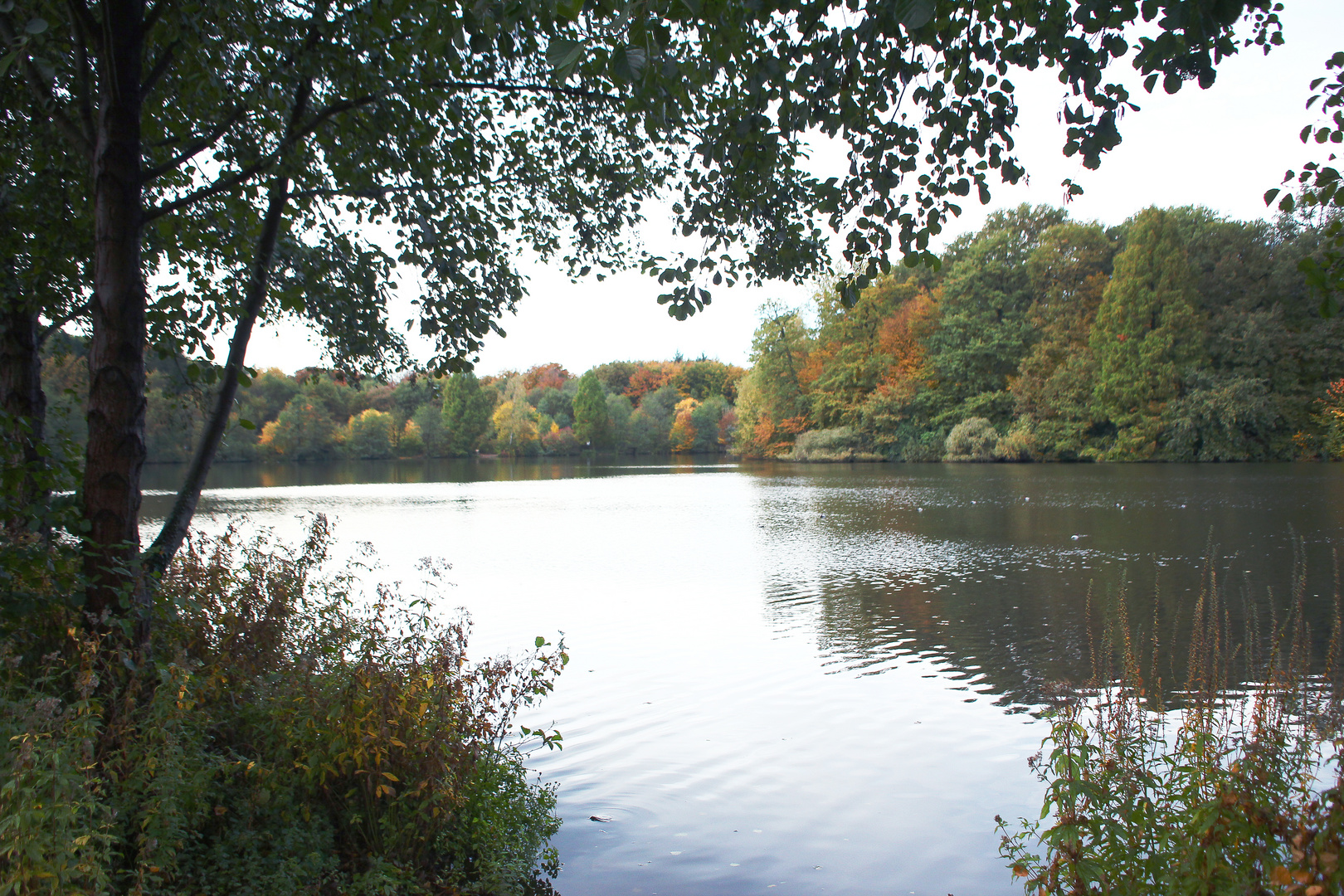 Herrbst am See