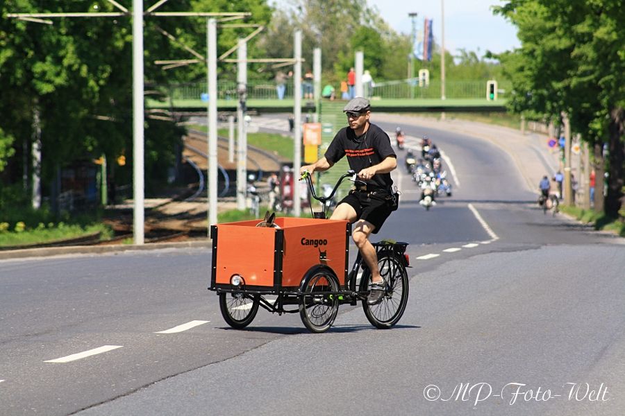 Herrchen als Chauffeur