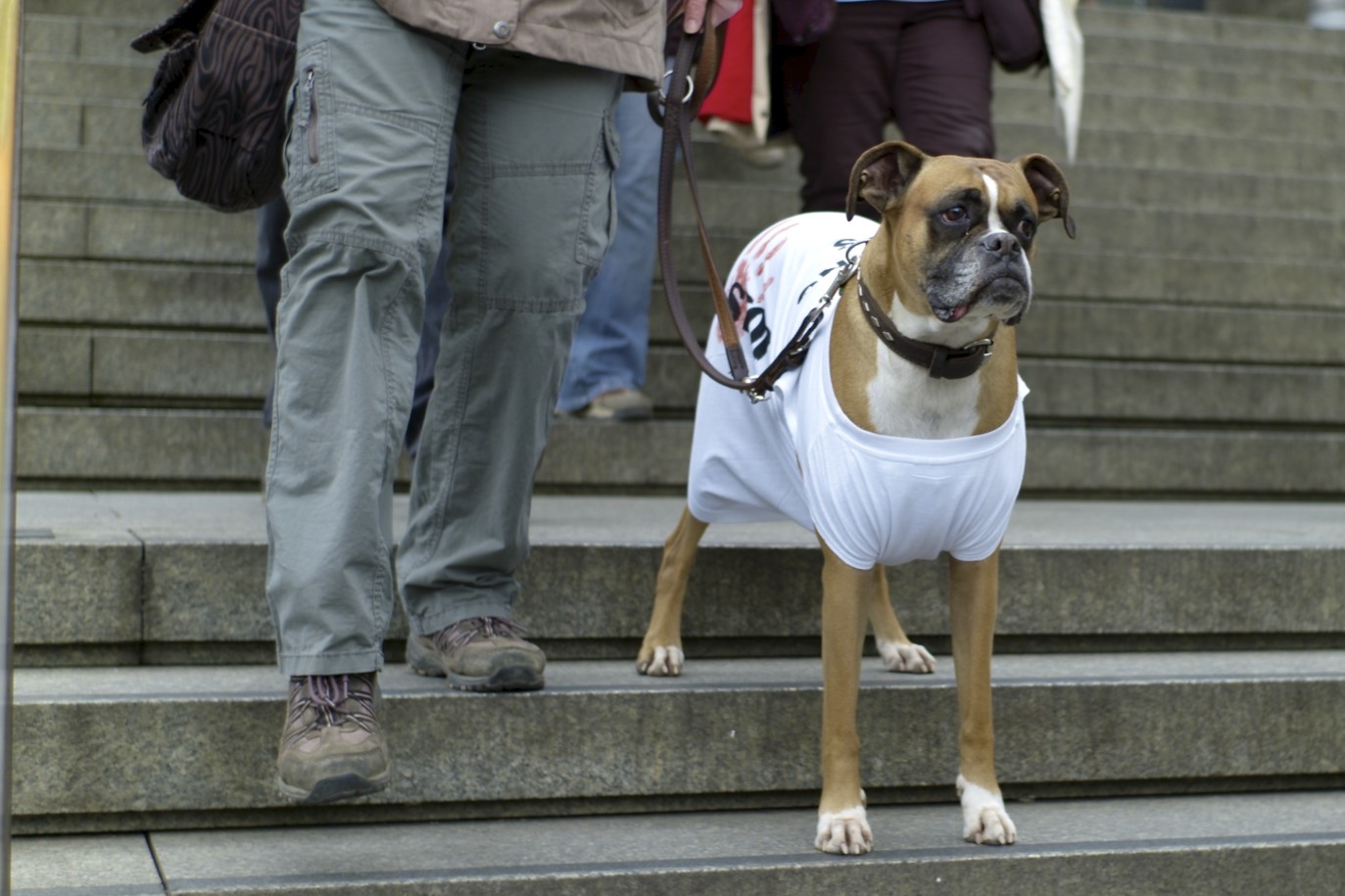 Herrchen hat auch 'ne Jacke an