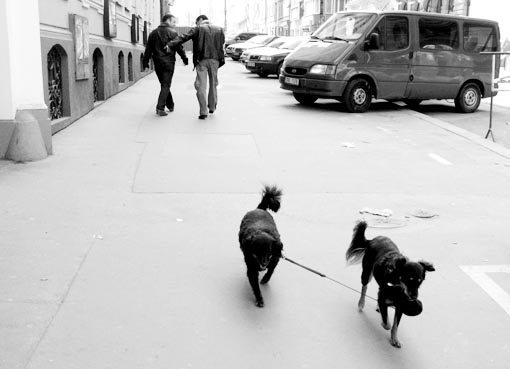 herrchen- street photography