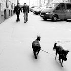 herrchen- street photography