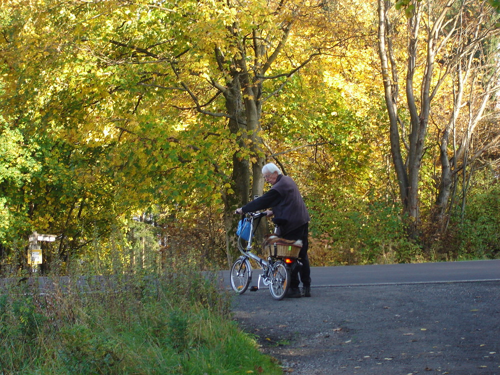 Herrchen und Hund- so macht Fahrradfahren beiden noch Spaß