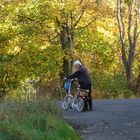 Herrchen und Hund- so macht Fahrradfahren beiden noch Spaß