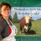 Herrefordkött.................ökologisches Fleisch direkt vom Erzeuger...............