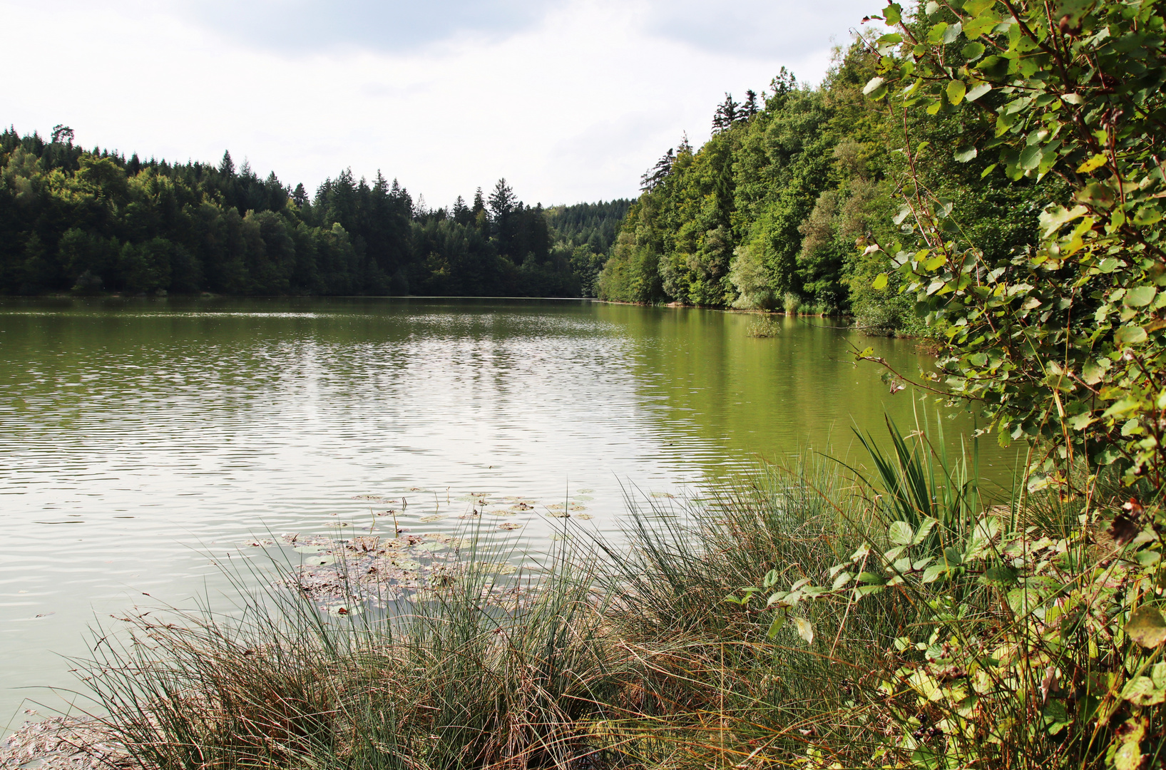 Herrenbachstausee