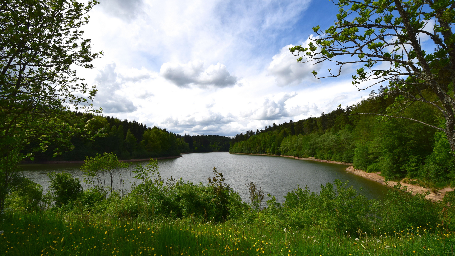 Herrenbachstausee