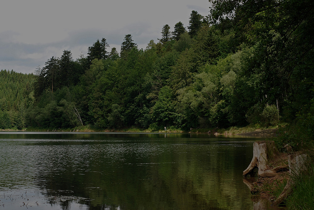 Herrenbachstausee bei Adelberg