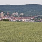 Herrenberg 1